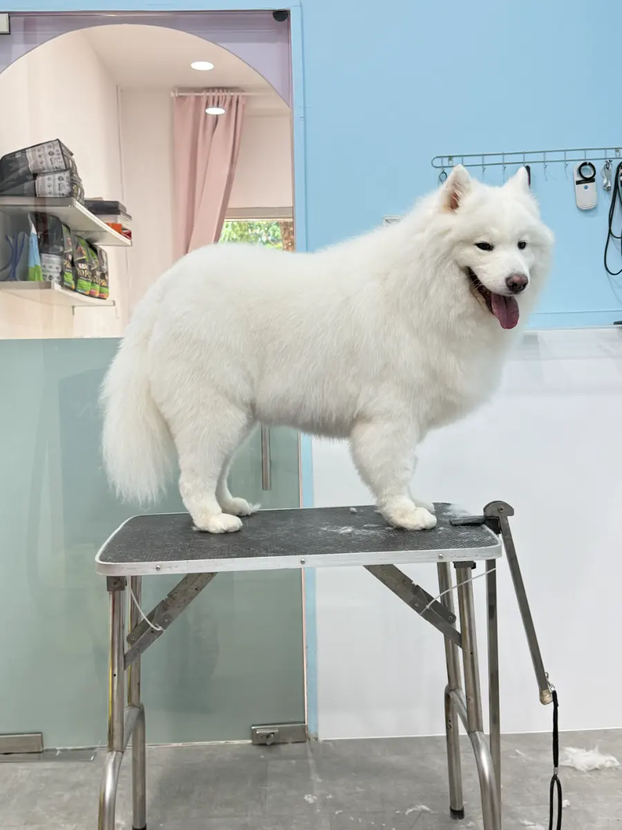 Grooming thumbnail 10